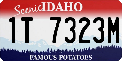ID license plate 1T7323M