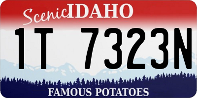ID license plate 1T7323N