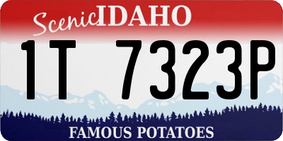 ID license plate 1T7323P