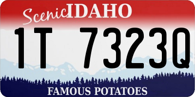 ID license plate 1T7323Q