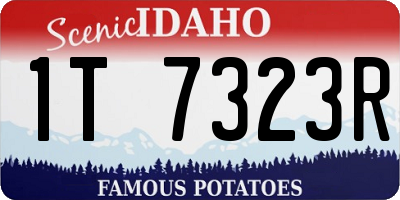 ID license plate 1T7323R