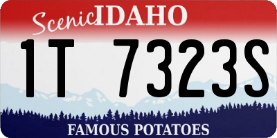 ID license plate 1T7323S
