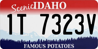 ID license plate 1T7323V