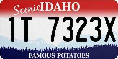 ID license plate 1T7323X