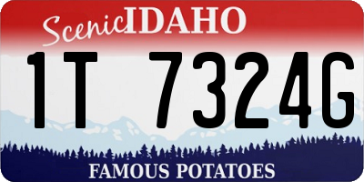 ID license plate 1T7324G