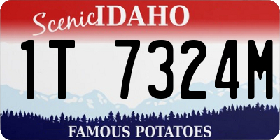 ID license plate 1T7324M