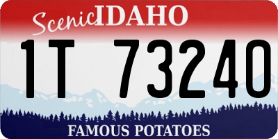 ID license plate 1T7324O