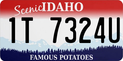 ID license plate 1T7324U