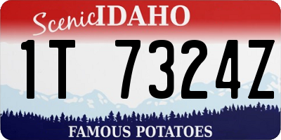 ID license plate 1T7324Z