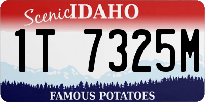 ID license plate 1T7325M