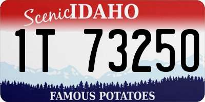 ID license plate 1T7325O