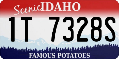 ID license plate 1T7328S