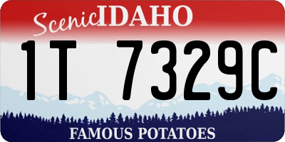 ID license plate 1T7329C