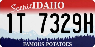 ID license plate 1T7329H