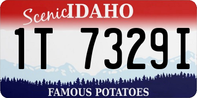 ID license plate 1T7329I