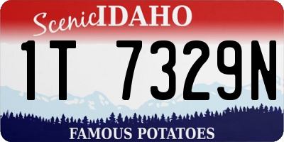 ID license plate 1T7329N