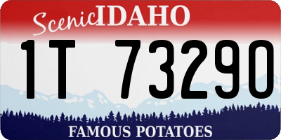ID license plate 1T7329O