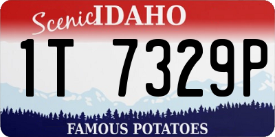 ID license plate 1T7329P