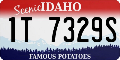 ID license plate 1T7329S