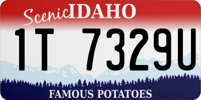 ID license plate 1T7329U