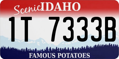 ID license plate 1T7333B