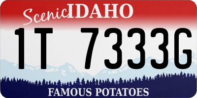 ID license plate 1T7333G