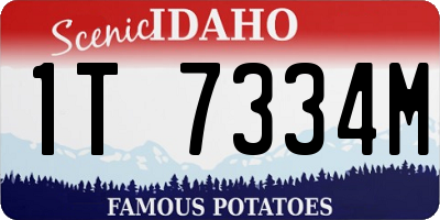 ID license plate 1T7334M