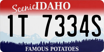 ID license plate 1T7334S