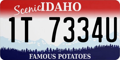 ID license plate 1T7334U