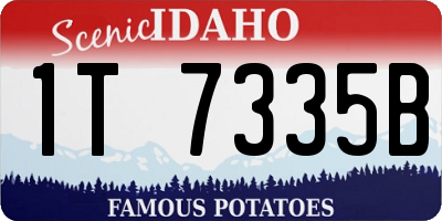 ID license plate 1T7335B