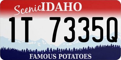 ID license plate 1T7335Q