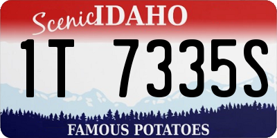 ID license plate 1T7335S