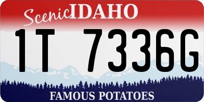 ID license plate 1T7336G