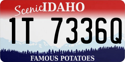 ID license plate 1T7336Q