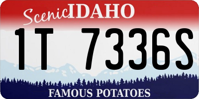 ID license plate 1T7336S