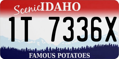 ID license plate 1T7336X