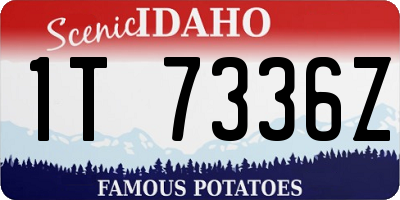 ID license plate 1T7336Z
