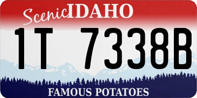 ID license plate 1T7338B