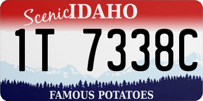 ID license plate 1T7338C