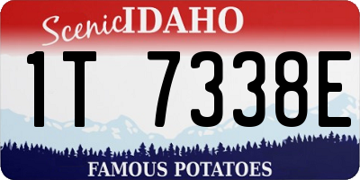 ID license plate 1T7338E