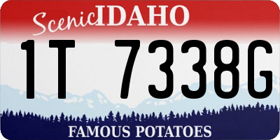 ID license plate 1T7338G