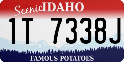 ID license plate 1T7338J