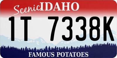 ID license plate 1T7338K
