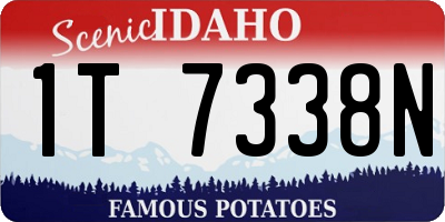 ID license plate 1T7338N