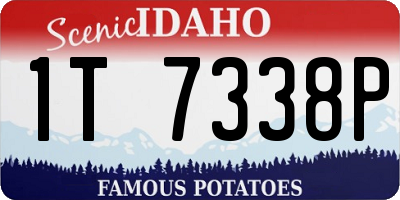 ID license plate 1T7338P