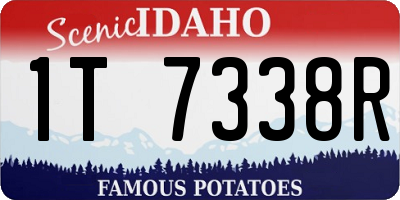 ID license plate 1T7338R