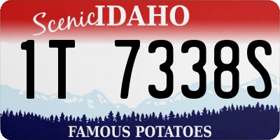 ID license plate 1T7338S