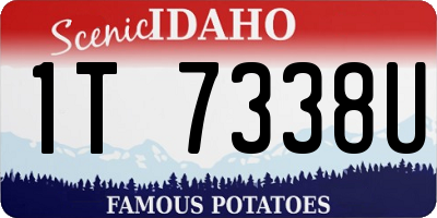 ID license plate 1T7338U