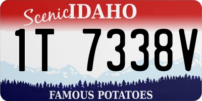 ID license plate 1T7338V