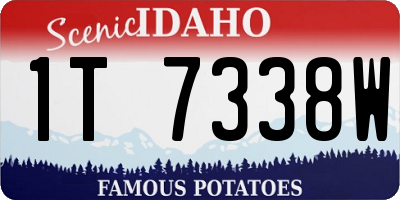 ID license plate 1T7338W